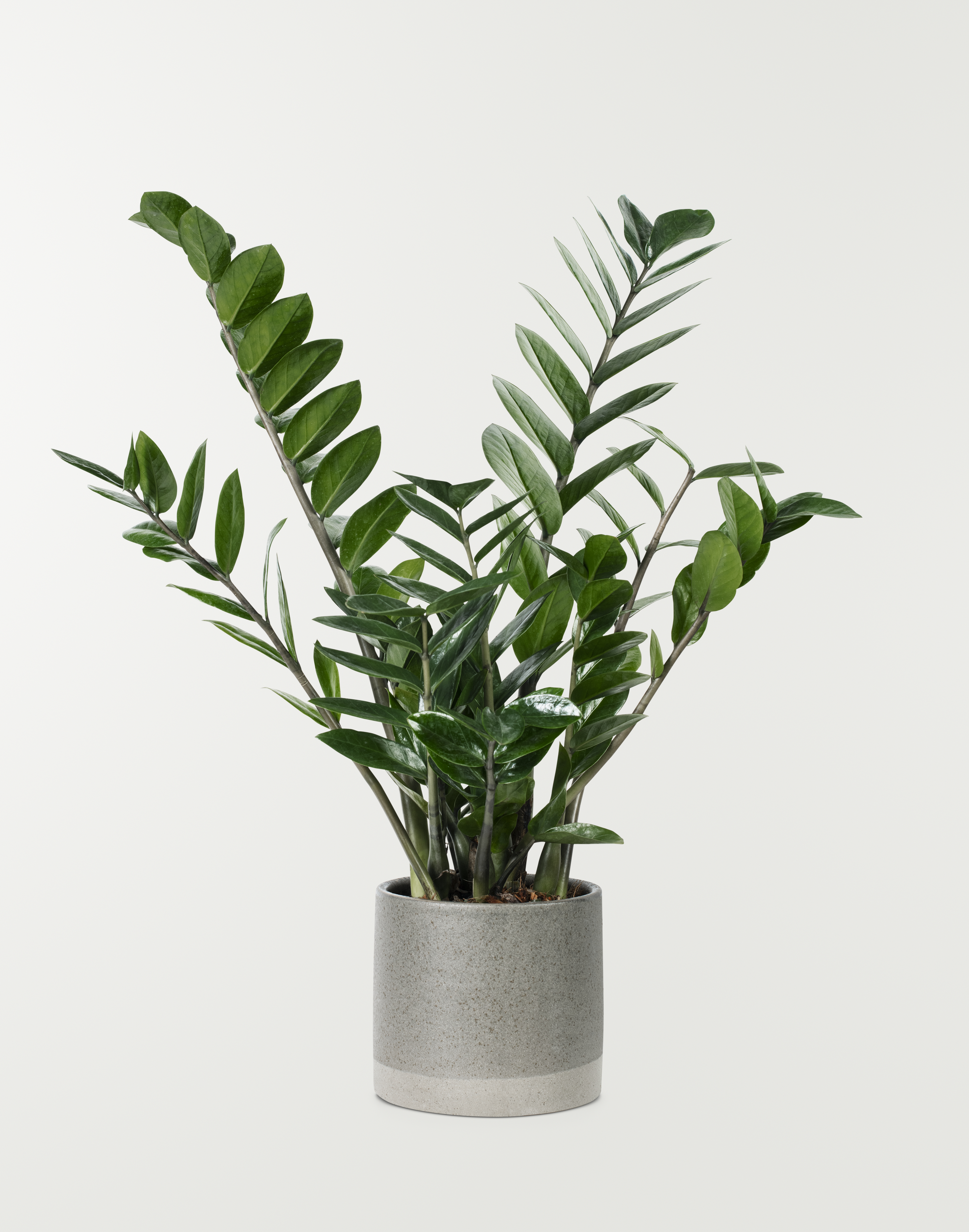Product 10